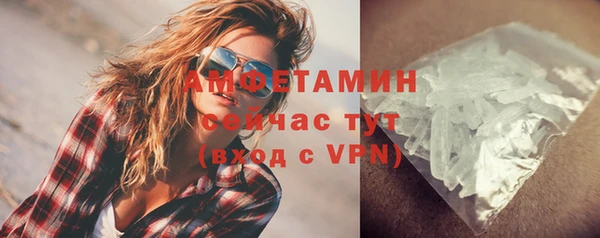 индика Магас