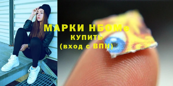 индика Магас