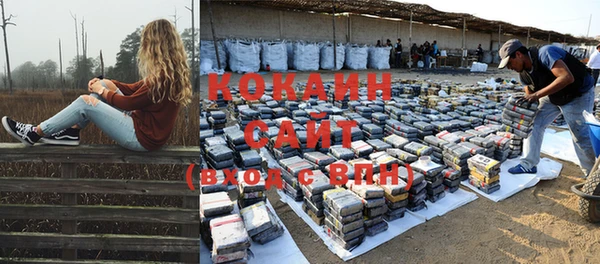 индика Магас