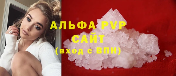 индика Магас
