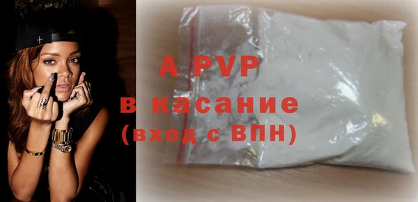 индика Магас