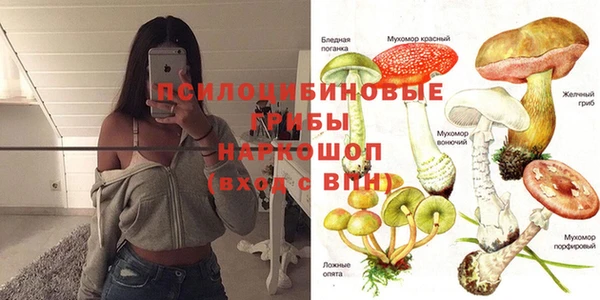 молекула духа Липки