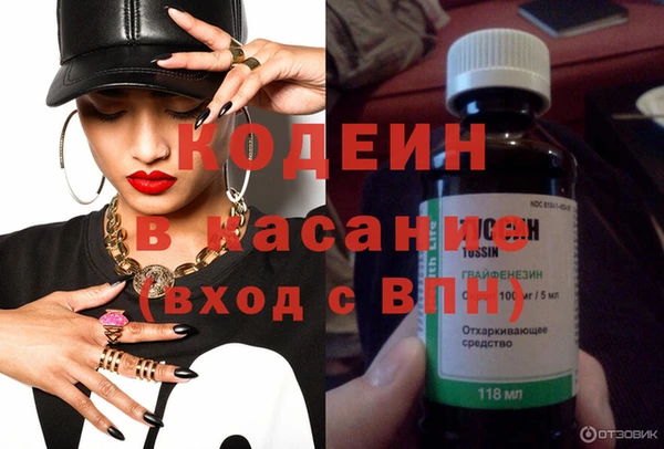индика Магас