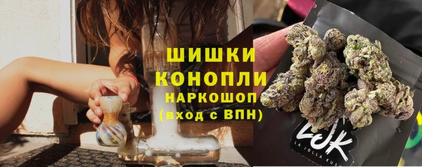 индика Магас