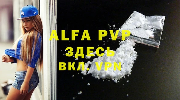 индика Магас