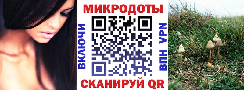 Галлюциногенные грибы MAGIC MUSHROOMS  купить  цена  Мглин 
